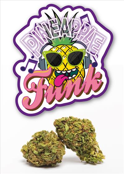Pineapple funk - cannabis light