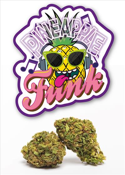 Pineapple funk - cannabis light