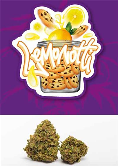 Lemonotti -  cannabis light